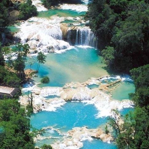 Agua Azul Waterfalls in Mexico