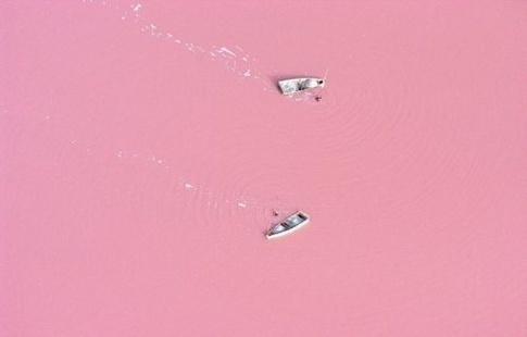 The pink waters of Lake Retba in Senegal